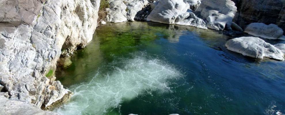 Los Pinos 8 เบนาบีส ภายนอก รูปภาพ